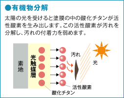 有機物分解　太陽の光を受けると塗膜の中の酸化チタンが活性酸素を生み出します。この活性酸素が汚れを分解し、汚れの付着力を弱めます。